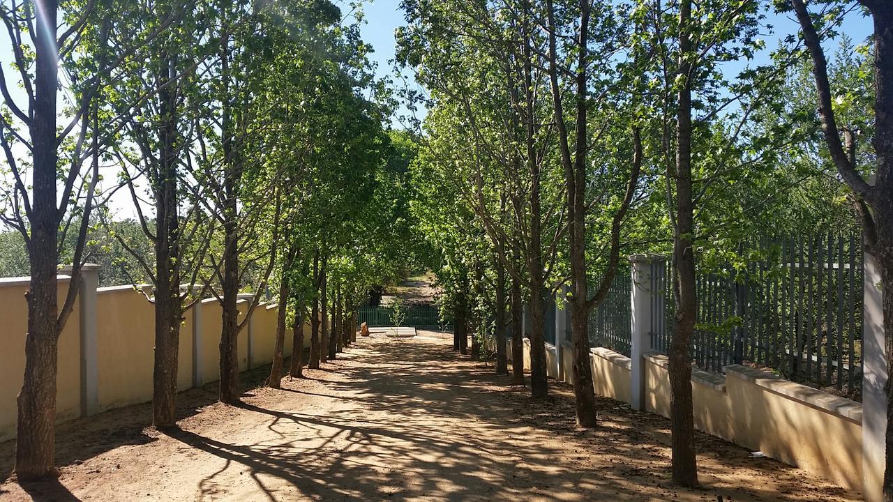 Amberhall Guesthouse Johannesburg Exteriör bild