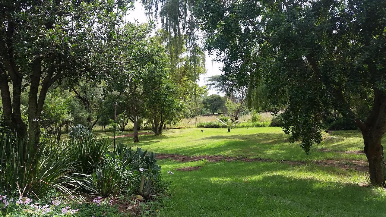 Amberhall Guesthouse Johannesburg Exteriör bild